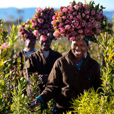 Flower Valley Conservation Trust